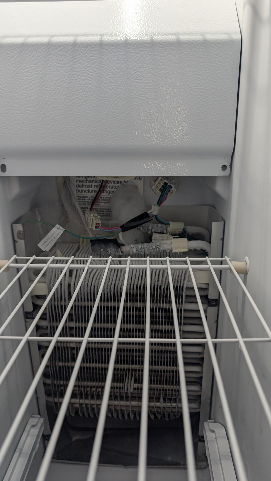 inside of freezer